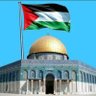 Dalia Nour Eldin's profile picture