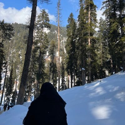 🐎 𓂆's profile picture