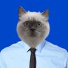 Profilbild von supepeng