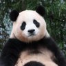 40+斜杠青年(互fo💯) profil fotoğrafı
