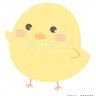 🐥 的头像