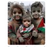 المصرى افندي's profile picture