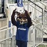 thiaguinᶜᵉᶜ's profile picture