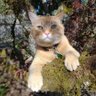 Cigam's profile picture