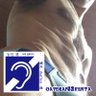 Profilbild von deaf 桃競