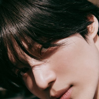 xoarchiveox's profile picture