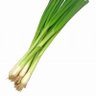 Фото профиля The Italian Scallion aka Doc Sleepy