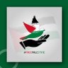 Masoud's profile picture
