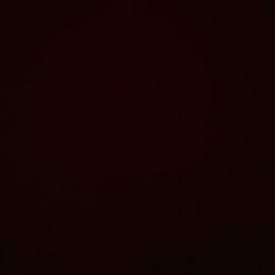 🦋's profile picture