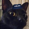 Profilbild von El 🐈⬛ fortinero
