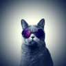 Tréssa's profile picture