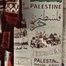 Fatma Elsaman's profile picture
