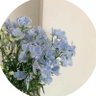 نوف الحربي's profile picture