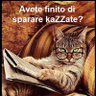 Maurizio's profile picture