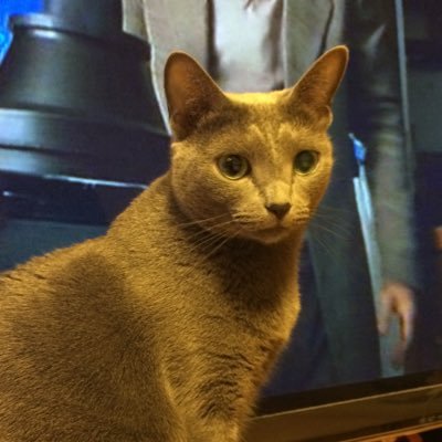 y1475m's profile picture
