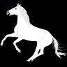 Profilbild von 🐎ᴬˢʰʷᵃᵐᵉᵈʰᵃ🐎