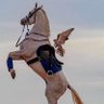 أنس القحطاني(بدوي وفتخر)'s profile picture