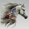 ❤️ American Heart ❤️ profil fotoğrafı