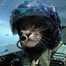 Фото профиля Tactical Cat