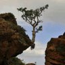 Flawed and Beautiful's profile picture