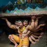 Smart Dumb Fella's profile picture
