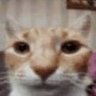 vzhqz's profile picture