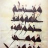 Фото профиля حسان بن صالح