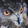 Profilbild von Johannes H.