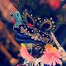 Anchal🇮🇳❤️🇮🇱's profile picture