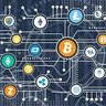 cryptoboy 的头像