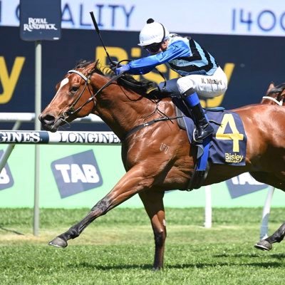 Kerrin McEvoy's profile picture