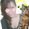 Фото профиля 猫ごはん。