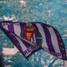 Vida Pucelana's profile picture