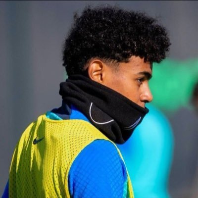 STONELESS's profile picture