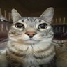 boo profil fotoğrafı