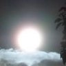 Moon 的头像