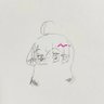 shiro-しろ-'s profile picture