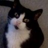Louise LMF's profile picture