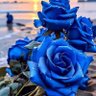 JABB profil fotoğrafı