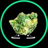 Uranium Intern's profile picture