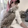 الريس's profile picture