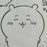 ナガノのヤハッ 的头像