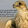 Profilbild von الشريف أحمد