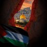 Ayoub AFGHAN | ایــوب افغــان's profile picture