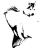 Merdog's profile picture