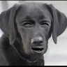 Profilbild von Hoo Zagoodboy