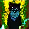 Hate acc's profile picture