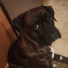 Its all to much's profile picture