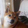 Urara's profile picture