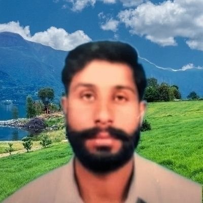 K H A N zarin's profile picture